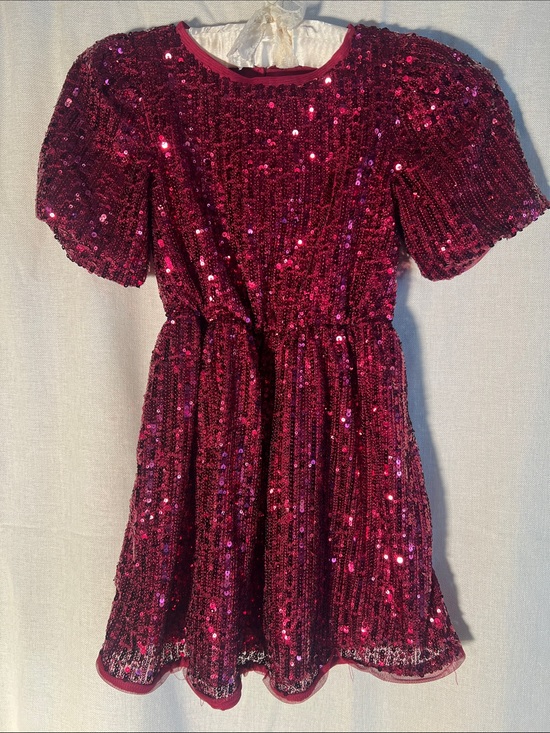 Cat & Jack Other - Cat & Jack Girls' Fuchsia Sequin Party Dress